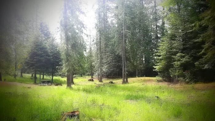 Sam Owen Campground Picture 10