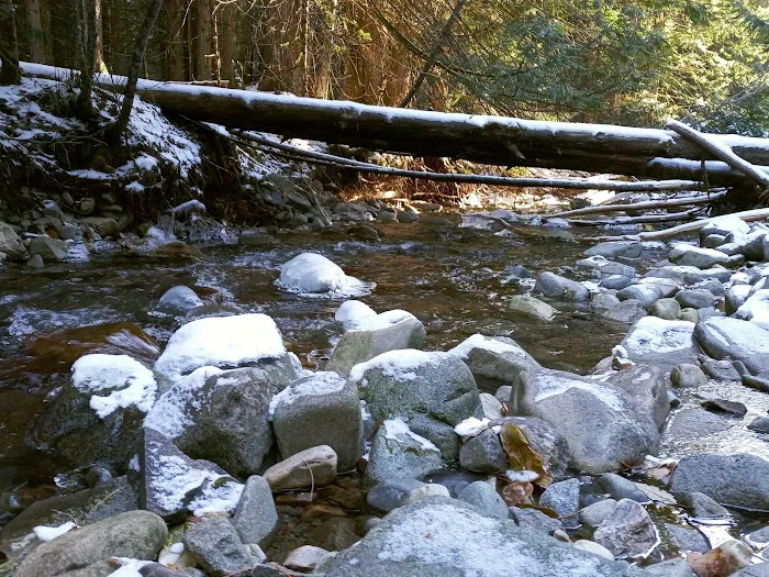 Huckleberry Campground Picture 4