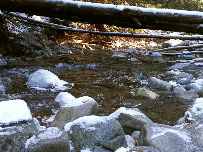 Huckleberry Campground Picture 1