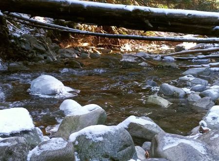 Huckleberry Campground