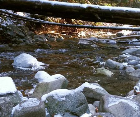 Huckleberry Campground