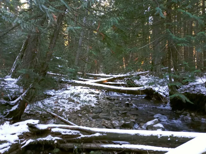 Huckleberry Campground Picture 3
