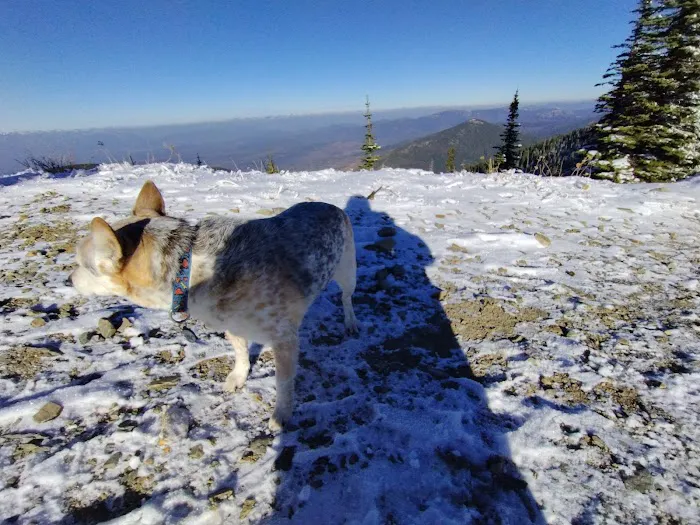 Lunch Peak Lookout Picture 1