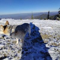 Lunch Peak Lookout ico