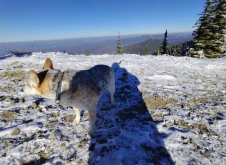 Lunch Peak Lookout