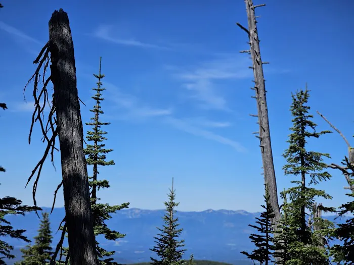 Lunch Peak Lookout Picture 4