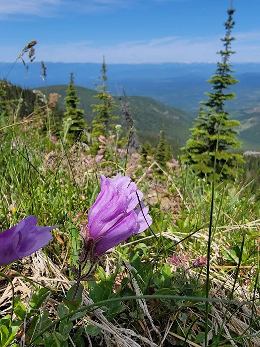 Lunch Peak Lookout Picture 8