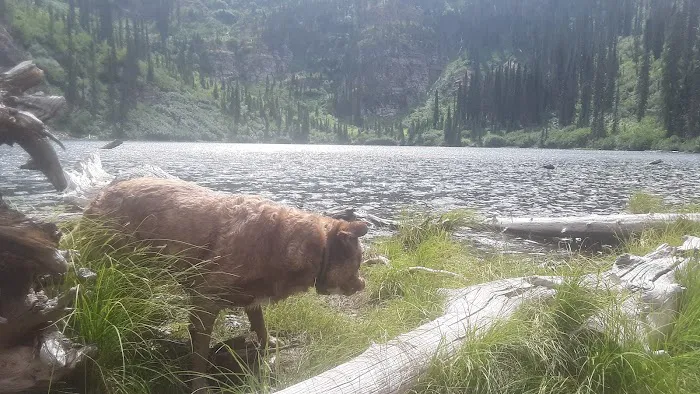 Porcupine Lake Campground Picture 2