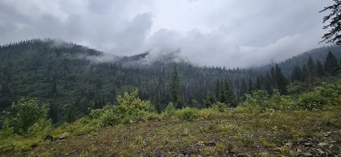 Porcupine Lake Campground Picture 3