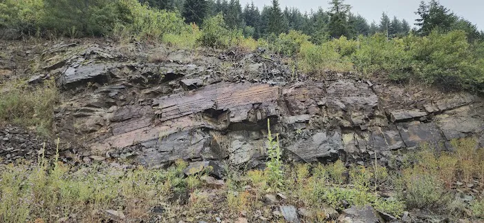 Porcupine Lake Campground Picture 6
