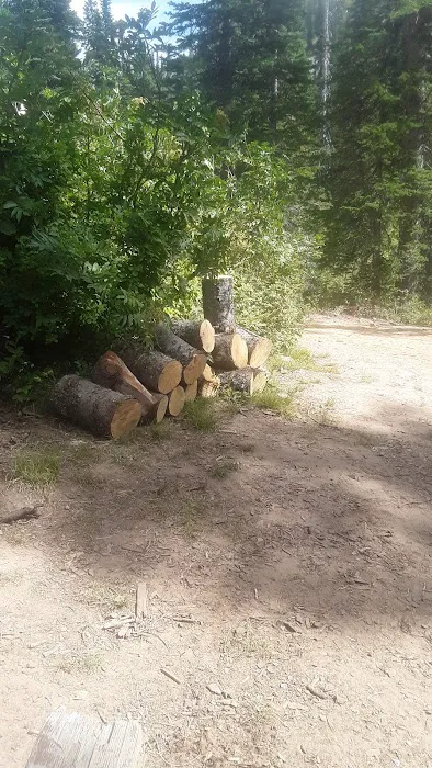 Porcupine Lake Campground Picture 4