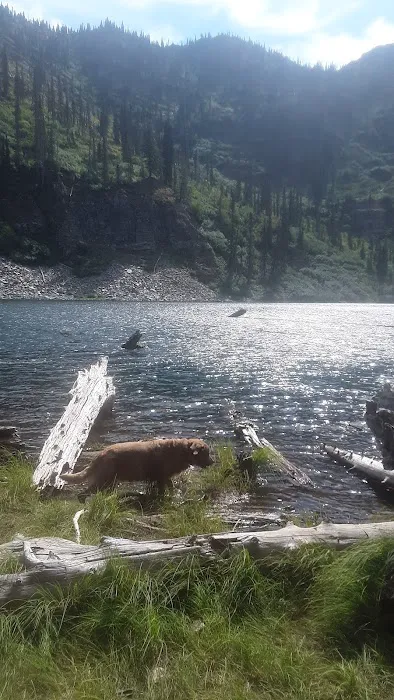 Porcupine Lake Campground Picture 10