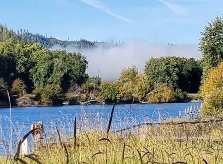 Shadowy Saint Joe Campground