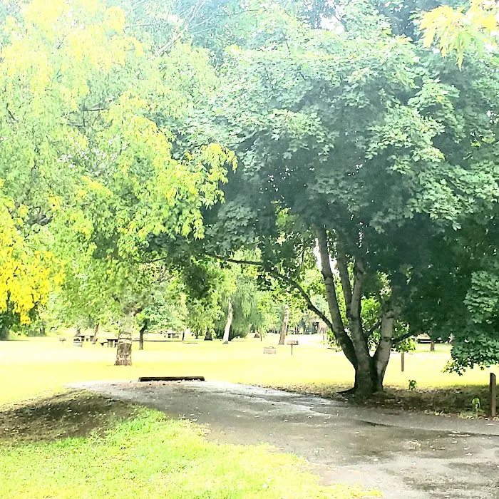 Shadowy Saint Joe Campground Picture 2