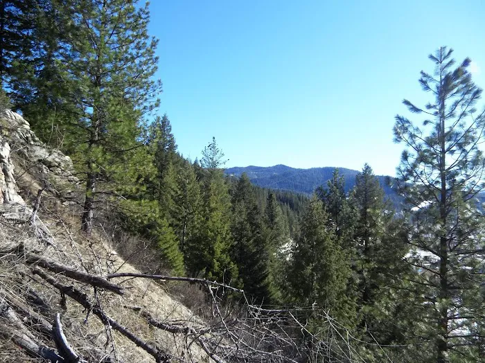 By The Way Campground Picture 2