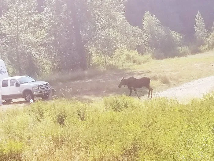 Bumblebee Campground Picture 2