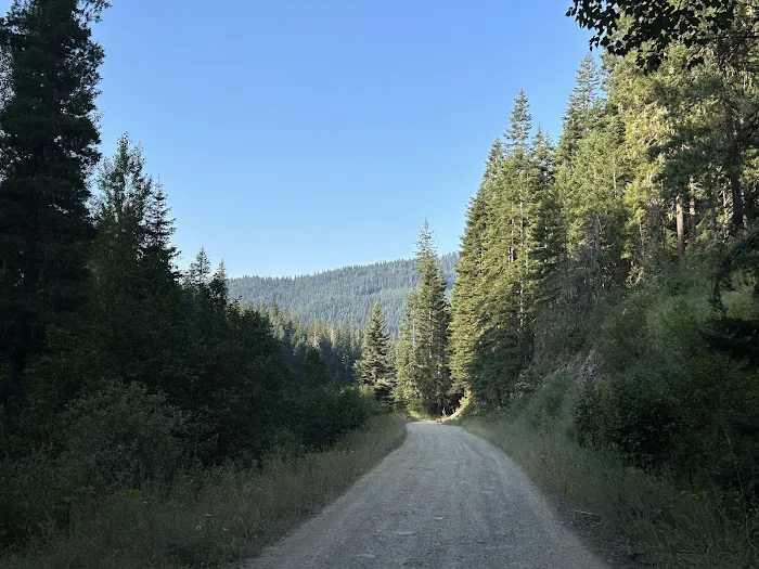 Bumblebee Campground Picture 9