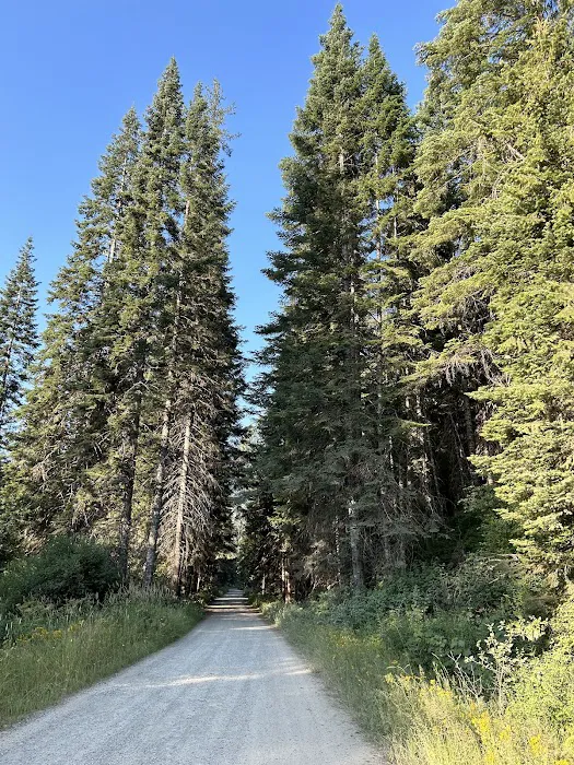 Bumblebee Campground Picture 4