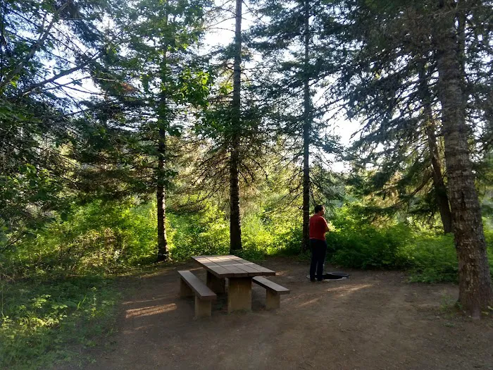 Bumblebee Campground Picture 10
