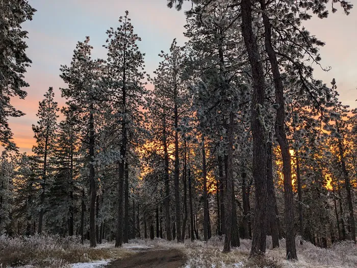 Iron Mountain campground Picture 1