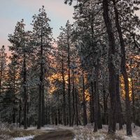 Iron Mountain campground ico
