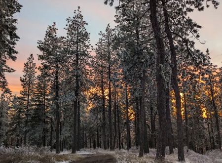 Iron Mountain campground