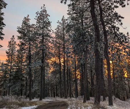 Iron Mountain campground