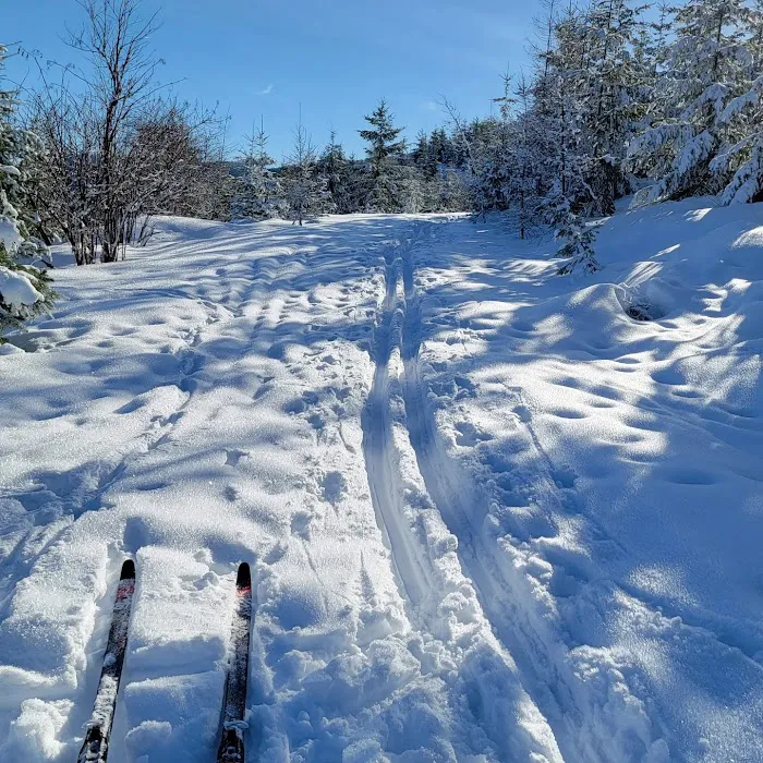 Palouse Divide Nordic Ski Area (recgovnpsdata) Picture 4