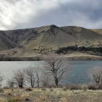 Jackson Creek Fish Camp