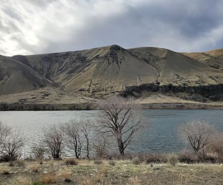 Jackson Creek Fish Camp