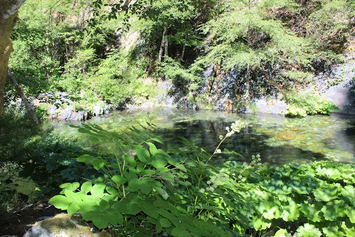 Dillon Creek Campground Picture 9