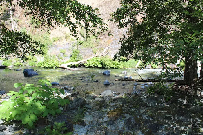 Dillon Creek Campground Picture 4
