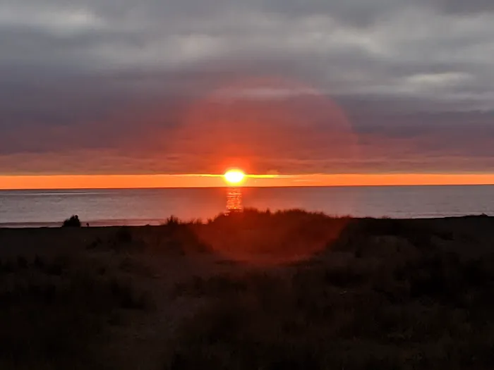 Gold Bluffs Beach Campground Picture 4