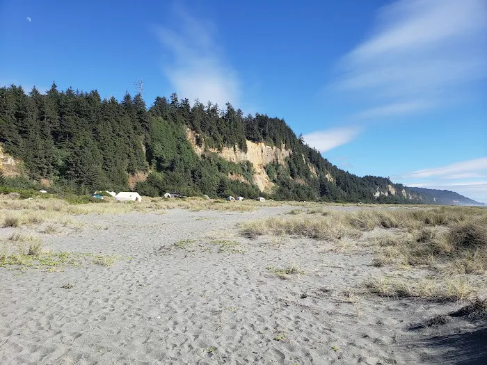 Gold Bluffs Beach Campground Picture 3
