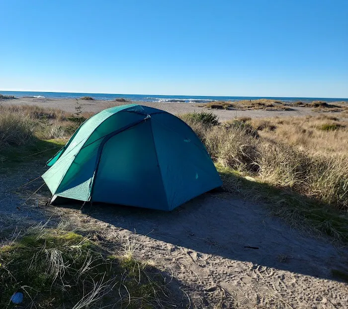 Gold Bluffs Beach Campground Picture 9