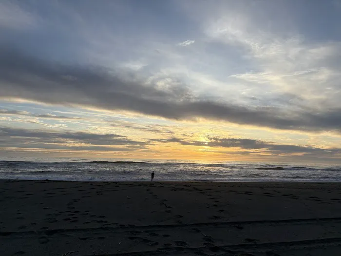 Gold Bluffs Beach Campground Picture 10