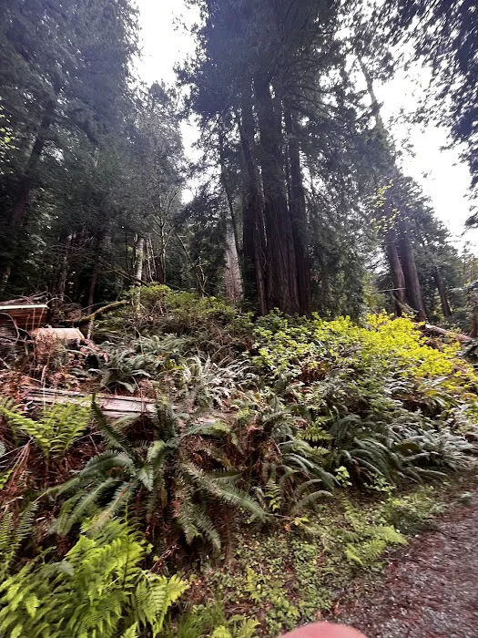 Flint Ridge Camp Picture 3