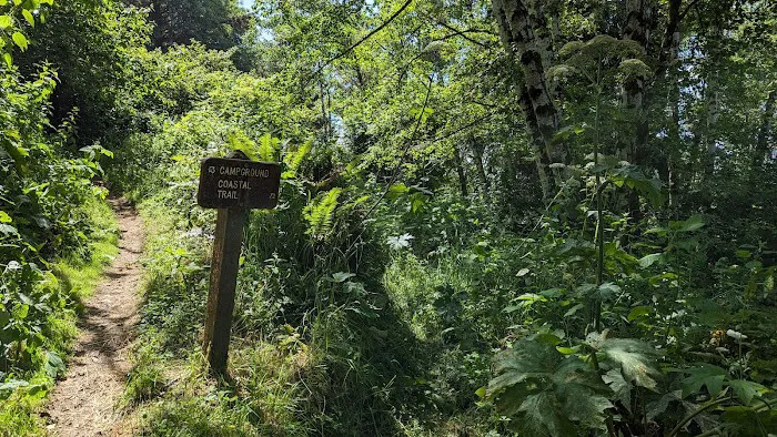 Flint Ridge Camp Picture 10