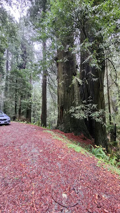 DeMartin Backcountry Camp Picture 1