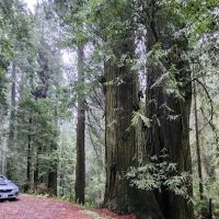 DeMartin Backcountry Camp ico