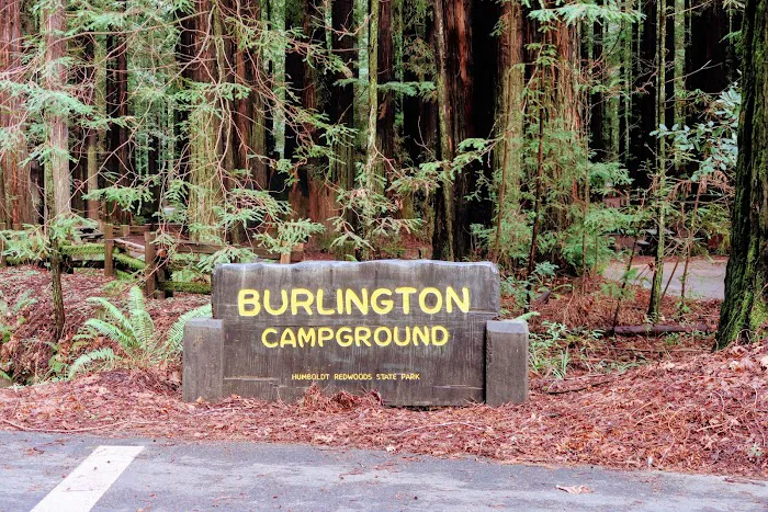 Burlington Campground Picture 6