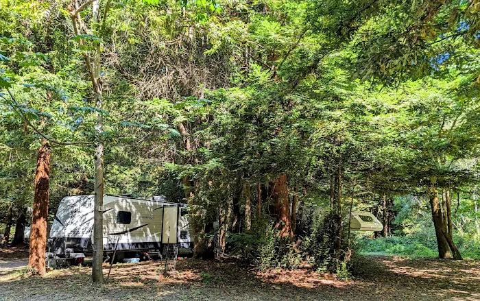 Redwood Area Camp Picture 4