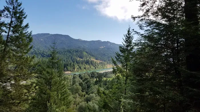 Redwood Area Camp Picture 10