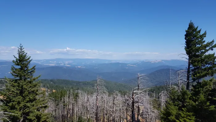 Grasshopper Peak Trail Camp Picture 3