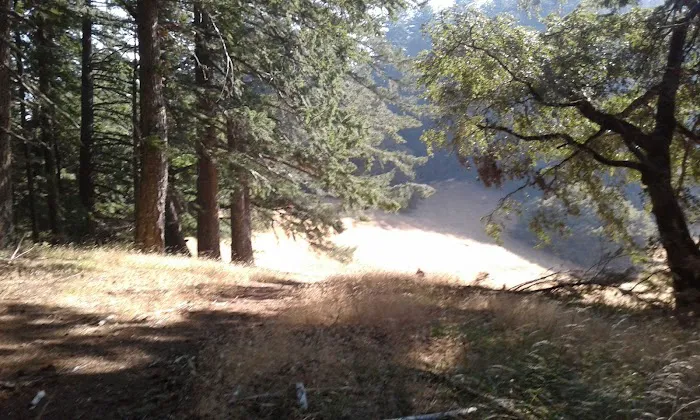 Grasshopper Peak Trail Camp Picture 6