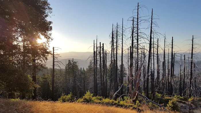 Grasshopper Peak Trail Camp Picture 4