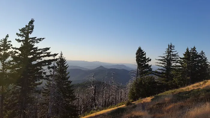 Grasshopper Peak Trail Camp Picture 2
