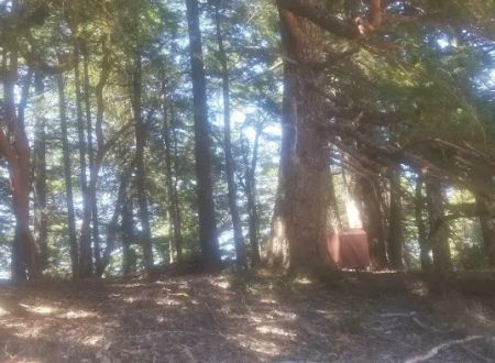 Grasshopper Peak Trail Camp