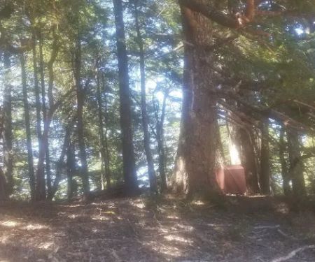 Grasshopper Peak Trail Camp