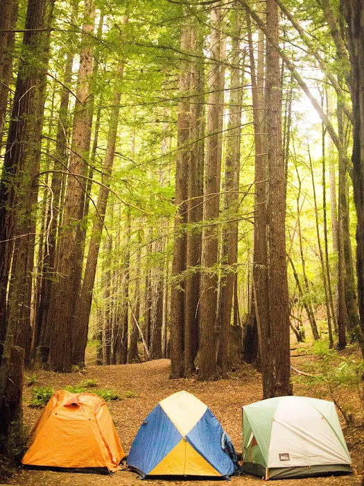 Albee Creek Campground Picture 5